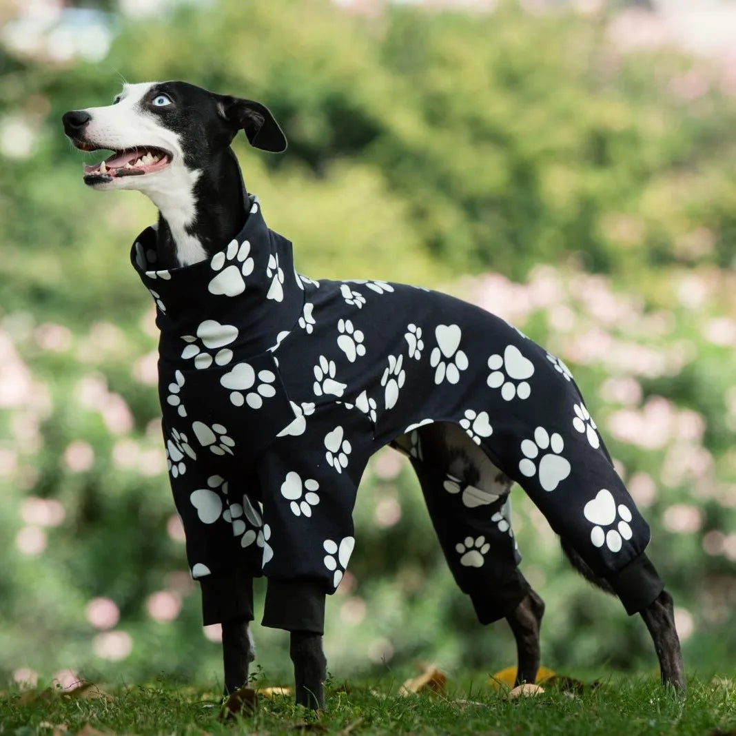 Autumn Winter Dog Pajamas Medium Large Dog Paw Printed Greyhound Pajamas Jumpsuit Fashion High Collar Pet Clothing Pet Bodysuit