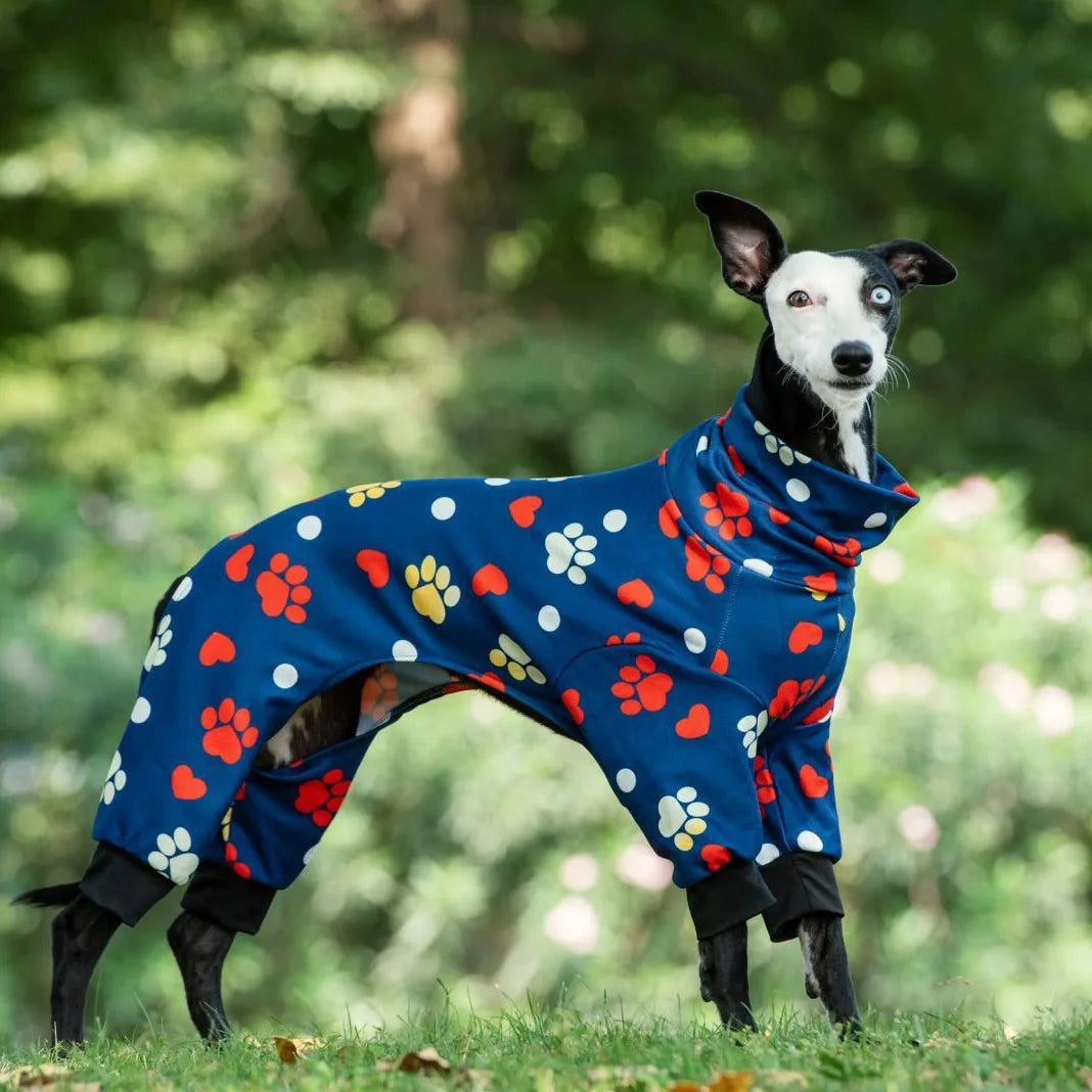 Autumn Winter Dog Pajamas Medium Large Dog Paw Printed Greyhound Pajamas Jumpsuit Fashion High Collar Pet Clothing Pet Bodysuit