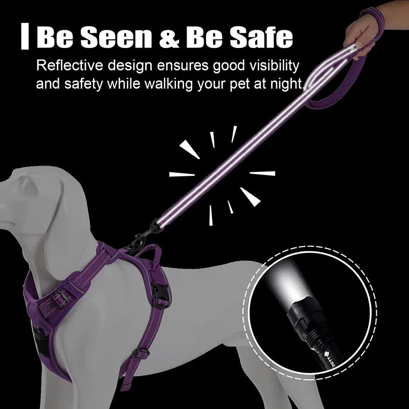 Truelove 200Cm Nylon Dog Lead Leash Running Reflective Dog Training Leash Purple Pet Leash For Small Large Dogs Correa Perro