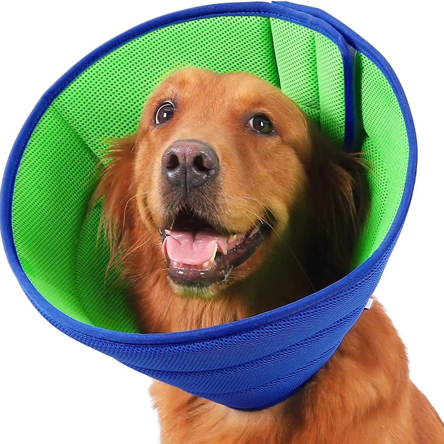 Dog Cone Collar Protective Wound