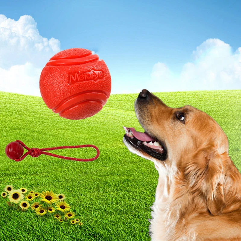 Dog Chewing Toy Bouncing Balls Resistant Solid Balls TPR Material Toys Outdoor Throwing Games Dogs Training Supplies