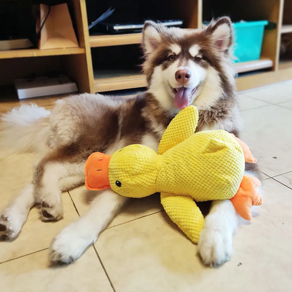 Dog Toy Stomping Duck Bite Resistant