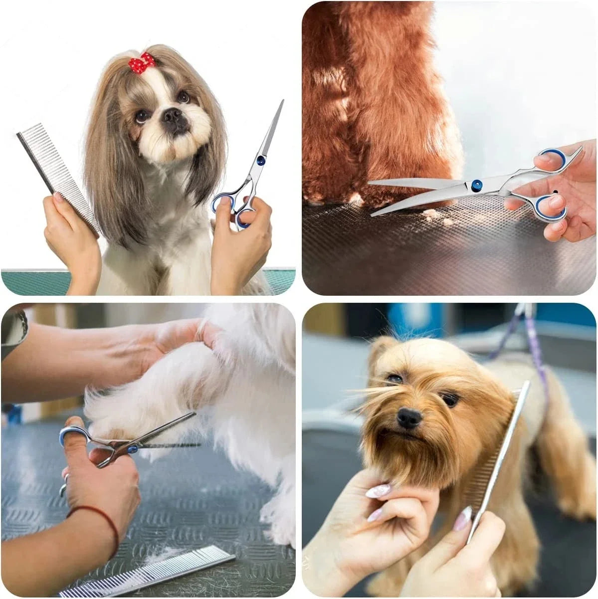 6 Inch Stainless Steel Pet Dogs Grooming Scissors Suit Hairdresser Scissors For Dogs Professional Animal Barber Cutting Tools