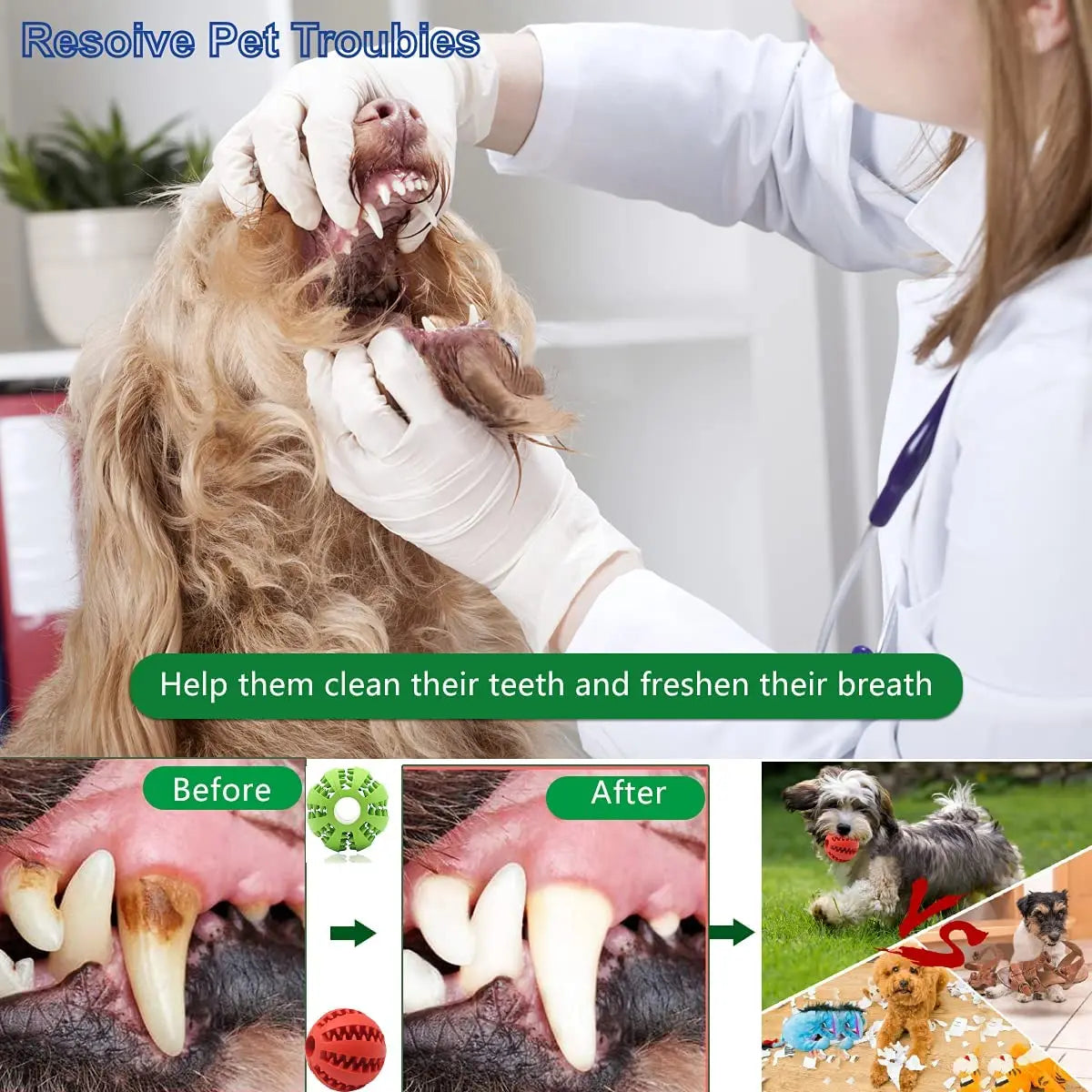 Dog Chew Toy Teeth Cleaning Snack Ball Pet Dog Toy Ball Natural Rubber Super Tough Interactive Bouncy Pet Supplies