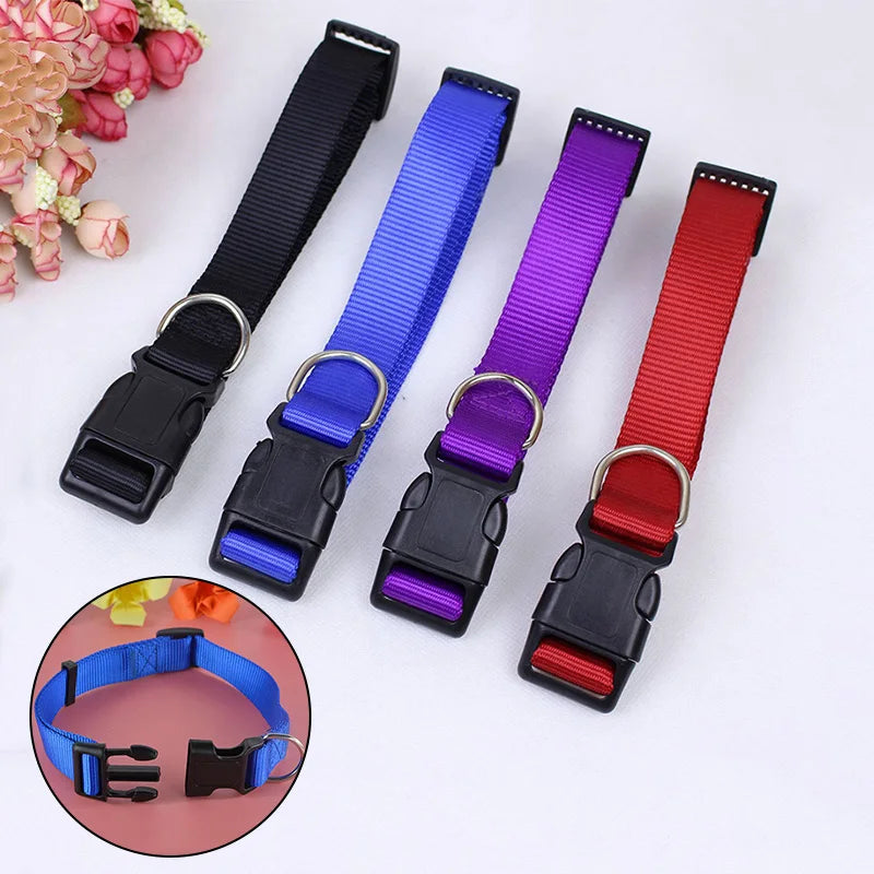 Adjustable Nylon Webbing Dog Collar Pets Cat Puppy Heavy Duty Clip Buckle Collars Small Medium Dog Chihuahua Collar