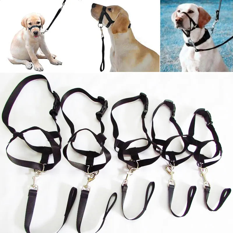 Creative Dog Halter Halti Training Head Collar Gentle Leader Harness Nylon Breakaway Usefull Harnesses Lead hot S M L XL XXL