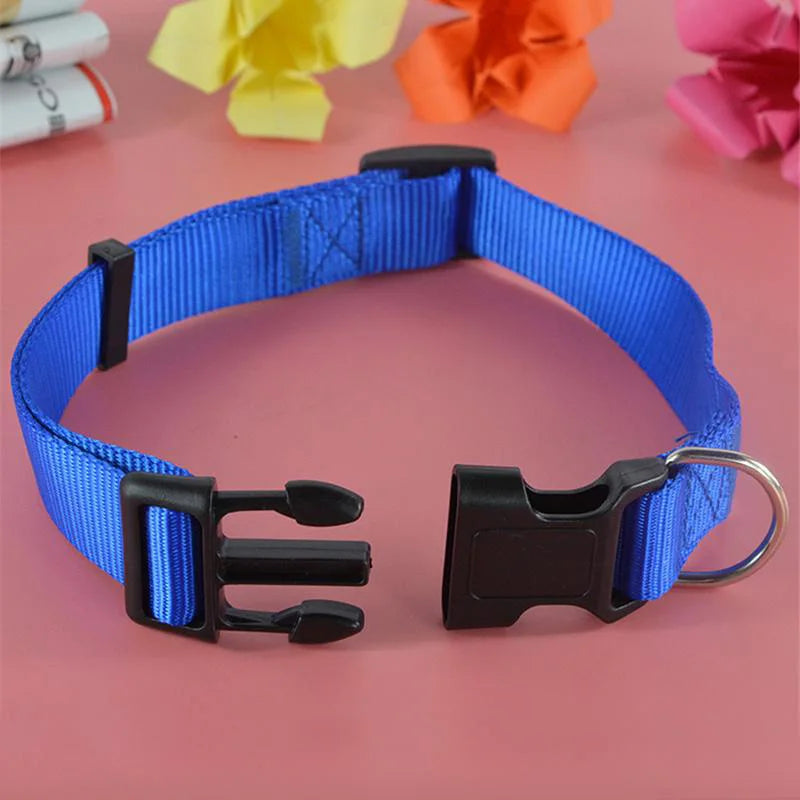 Adjustable Nylon Webbing Dog Collar Pets Cat Puppy Heavy Duty Clip Buckle Collars Small Medium Dog Chihuahua Collar