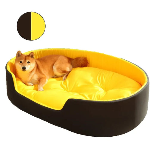 Big Dog Bed
