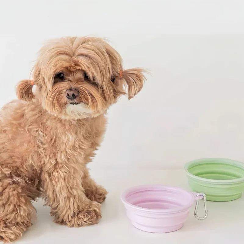 Pet Folding Silicone Bowl 350ML Dog Food Bowl Water Container Puppy Feeder Outdoor Camping Travel Portable Dog Accessories