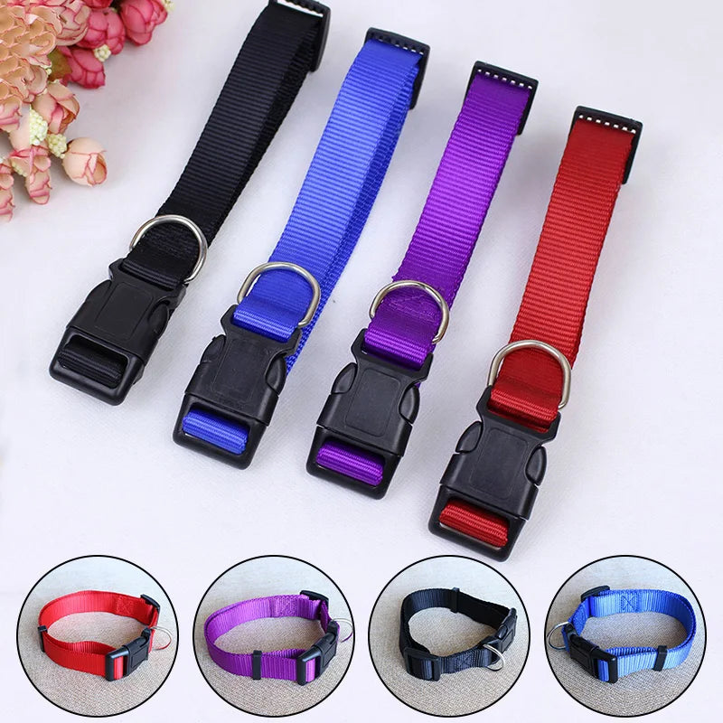 Adjustable Nylon Webbing Dog Collar Pets Cat Puppy Heavy Duty Clip Buckle Collars Small Medium Dog Chihuahua Collar