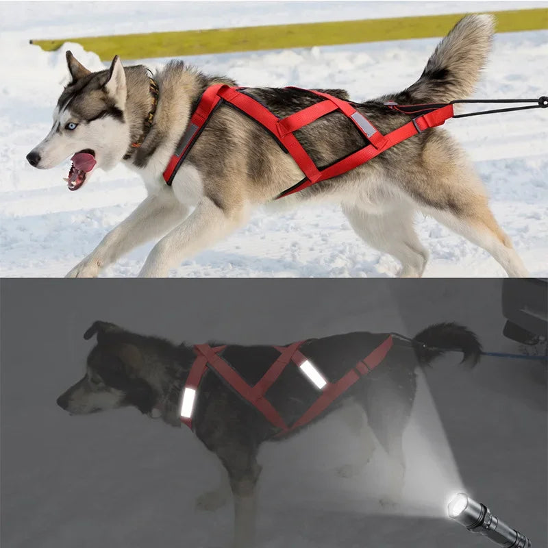 Pet Adjustable Reflective Harness Sledge for Small Large Dogs Harness Vest  Dog Mushing X Back Chest Strap Pet Training Supplies